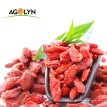 Chinese Ningxia new red Gojiberry with healthy food